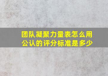 团队凝聚力量表怎么用 公认的评分标准是多少